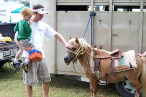 Dad and son petting a miniature horse at KidStuff